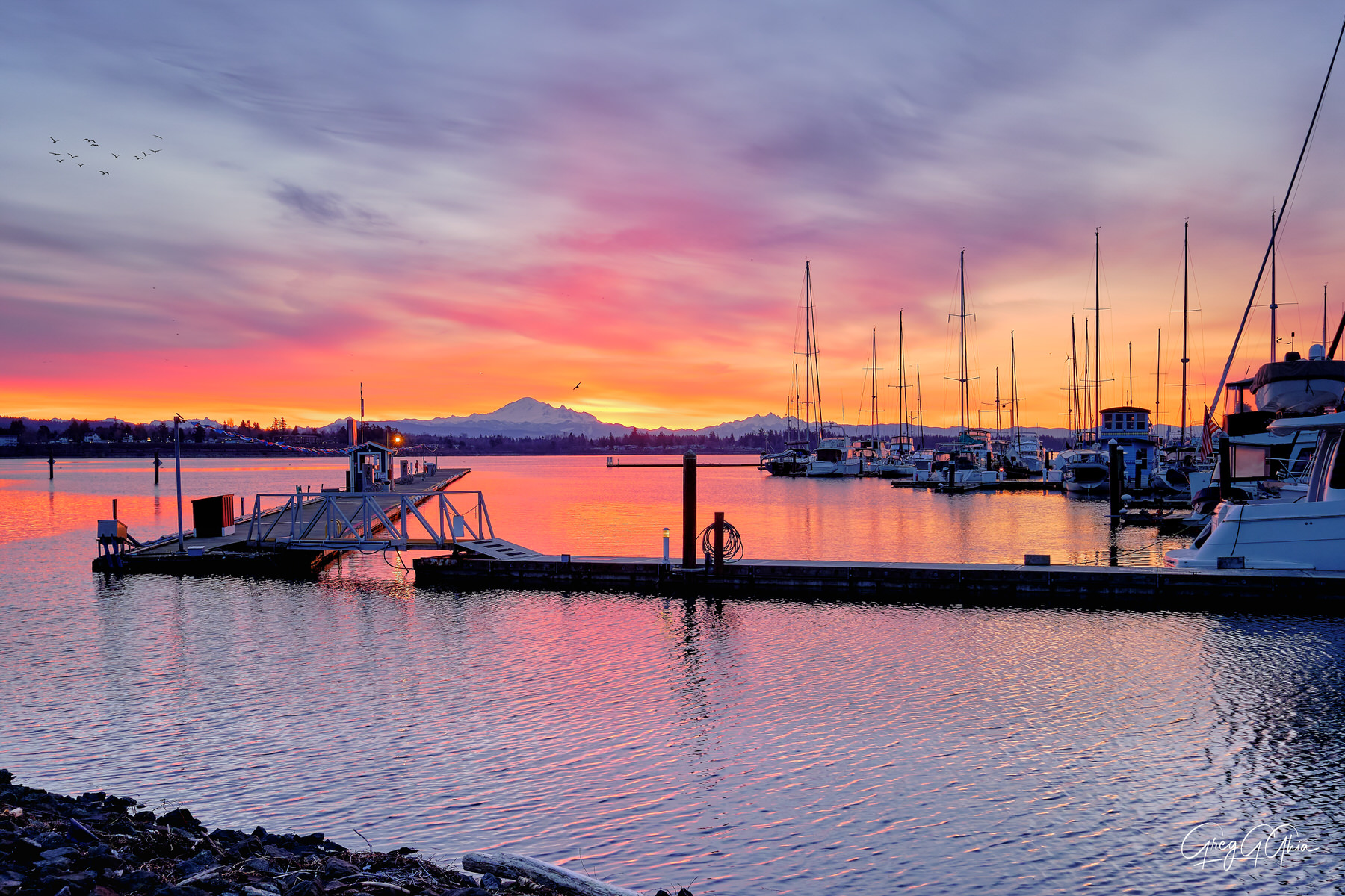 Sunrise at the marina where mountains are seen across the water as the sunrise casts pink and orange clouds across the sky that reflect on the water with boats.