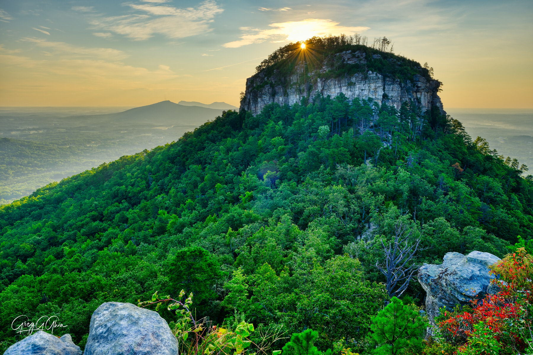 Pilot mountain covered in green foliage as the sun peers over the top and a sunburst is captured at sunrise and the mountain is bathed in warm light. 